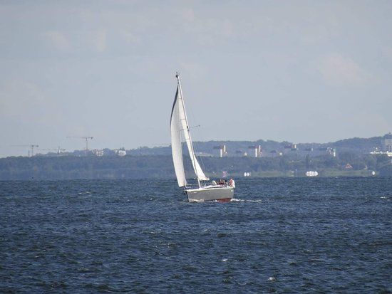 Windsurfing na plaży